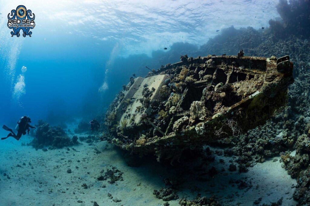 diving in egypt