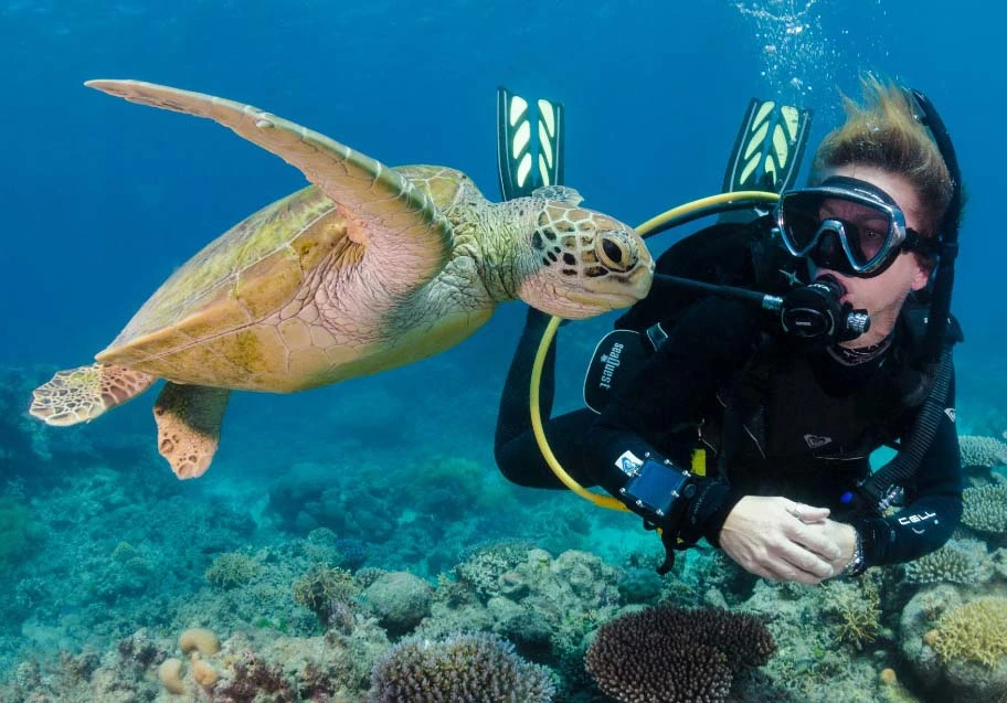 diving forever hurghada