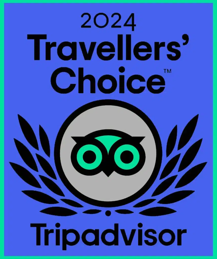 diving forever tripadvisor 2024 award